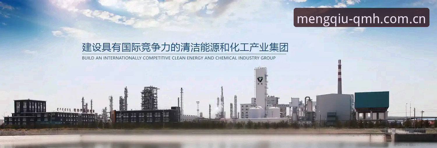 球盟会QMH平台2025全面评测：入口、下载与注册体验深度分析